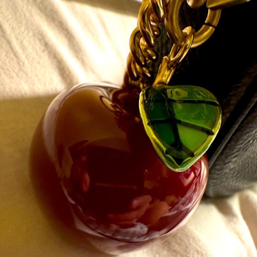 Coach with apple keychain